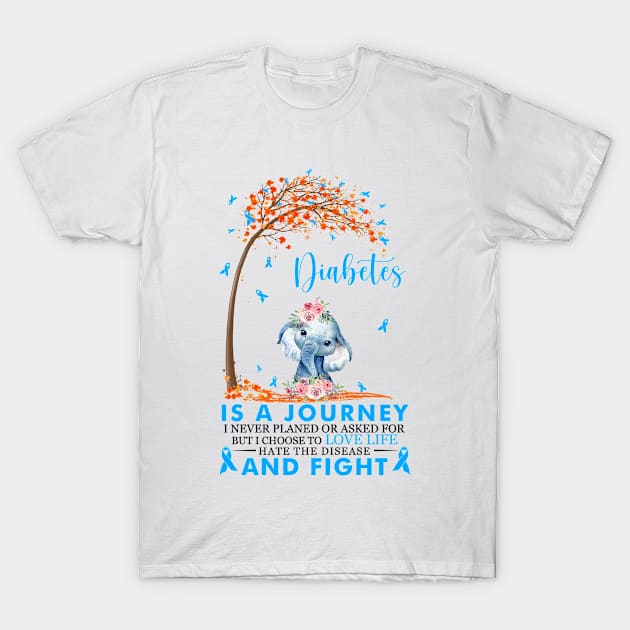 Diabetes Is A Journey T1D Diabetes Awareness Fighting T-Shirt by huthtuocgay843r